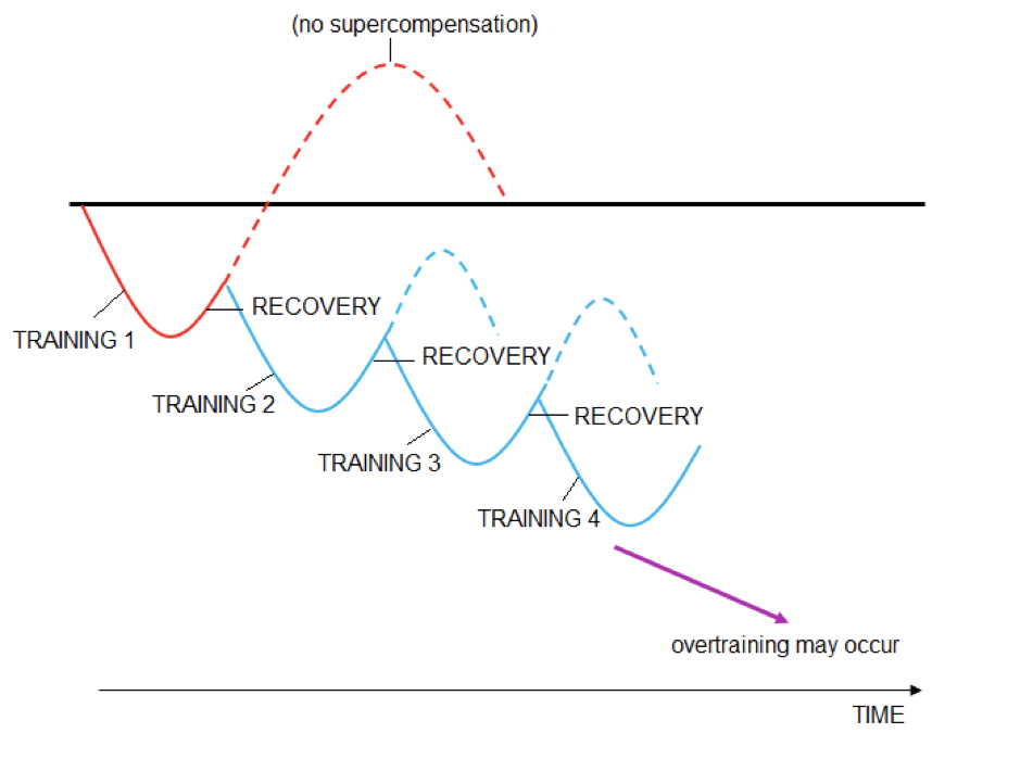 Zonder supercompensatie